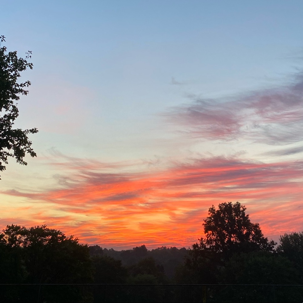 Meet your Posher, Averi